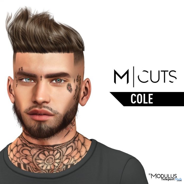 Cole Hair Fatpack July 2019 Gift by Modulus | Teleport Hub - Second ...